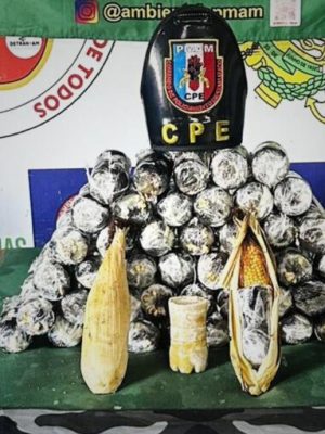 A Polícia Militar do Amazonas do Amazonas (SSP-AM) apreendeu, na manhã desta sexta-feira (24), cerca de 15 quilos de oxi moldados em formatos de espiga de milho, durante operação na Base Fluvial Arpão 1, nas proximidades de Coari (a 363 quilômetros de Manaus). A droga foi localizada com auxílio do cão policial Xerife e estava sendo transportada por uma mulher de 18 anos, que foi presa em flagrante.