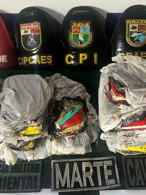 A Polícia Militar do Amazonas (PMAM) em operação na Base Fluvial Arpão 1, apreendeu, na manhã deste domingo (23) 15 tabletes de cocaína e pasta-base. A droga estava em uma embarcação abordada próximo a Coari (a 363 quilômetros de Manaus) e escondida dentro de uma mala. Uma mulher de 33 anos foi presa em flagrante suspeita de transportar as drogas.
