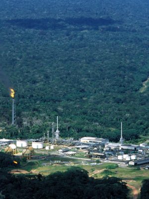 O Ministério de Minas e Energia (MME) e a Agência Nacional de Energia Elétrica (ANEEL) anunciaram nesta semana, a exclusão do II lote do Leilão nº 1/2025, certame que atenderia os municípios de Anamã, Anori, Caapiranga, Codajás e Coari, localizados no interior do Amazonas. O lote previa o fornecimento de energia elétrica a essas localidades, situadas nas proximidades do gasoduto Coari-Manaus, com uma potência instalada total de 48.253 quilowatts (kW). Os contratos, caso firmados, teriam início entre 2027 e 2030 e duração de 15 anos, estendendo-se até 2040.